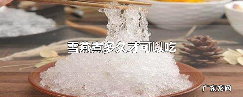雪燕煮多久才可以吃