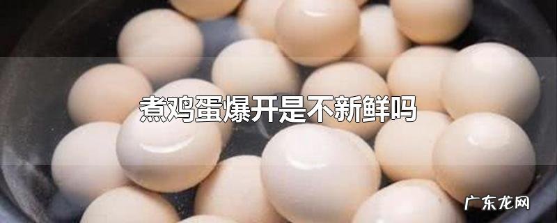 煮鸡蛋爆开是不新鲜吗