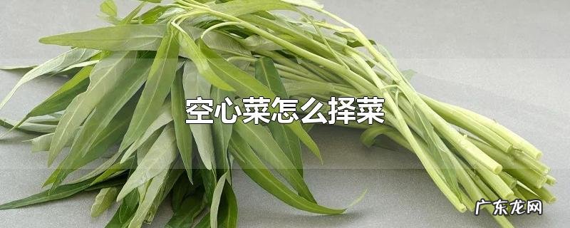 空心菜怎么择菜