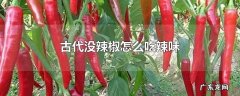 古代没辣椒怎么吃辣味