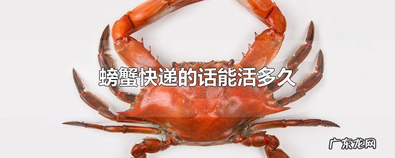 螃蟹快递的话能活多久