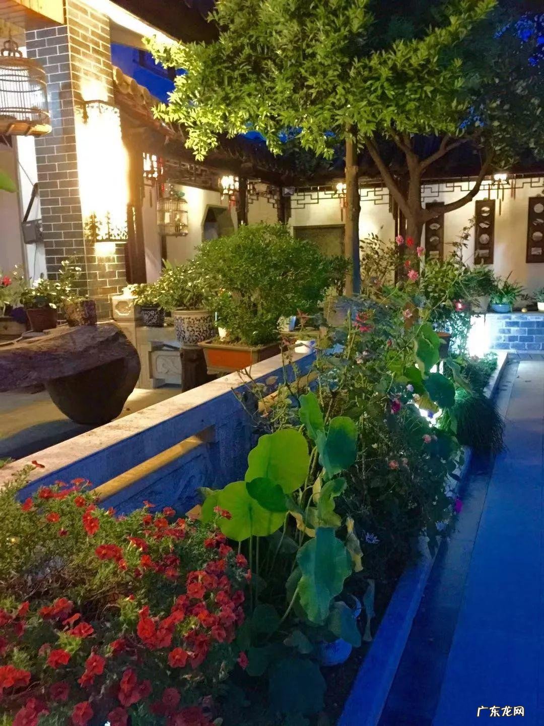 家飞进蛾子还下很多蛋风水