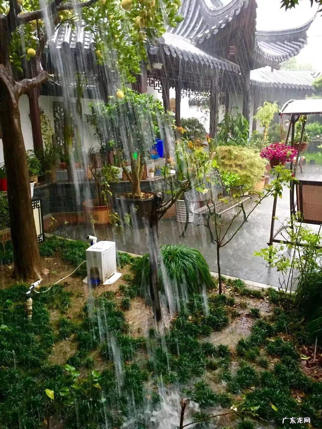 家飞进蛾子还下很多蛋风水