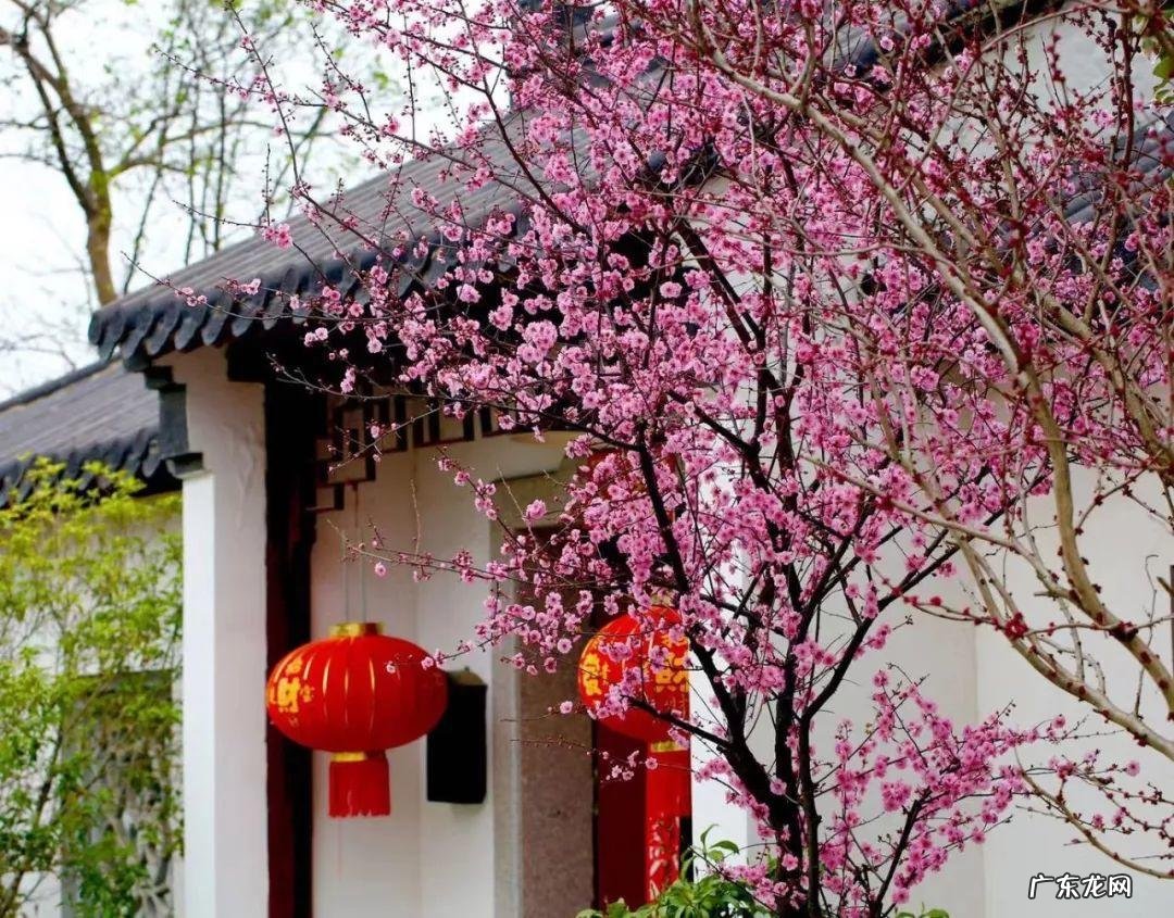 家飞进蛾子还下很多蛋风水