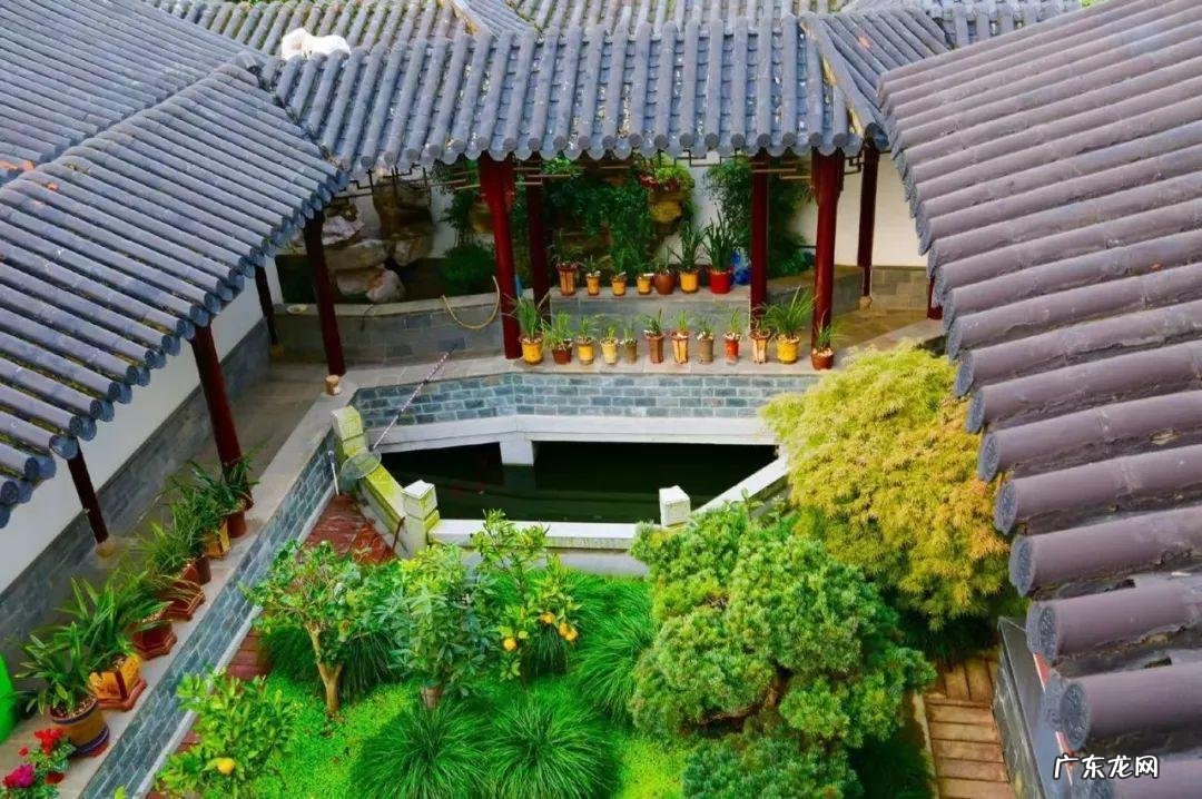 家飞进蛾子还下很多蛋风水