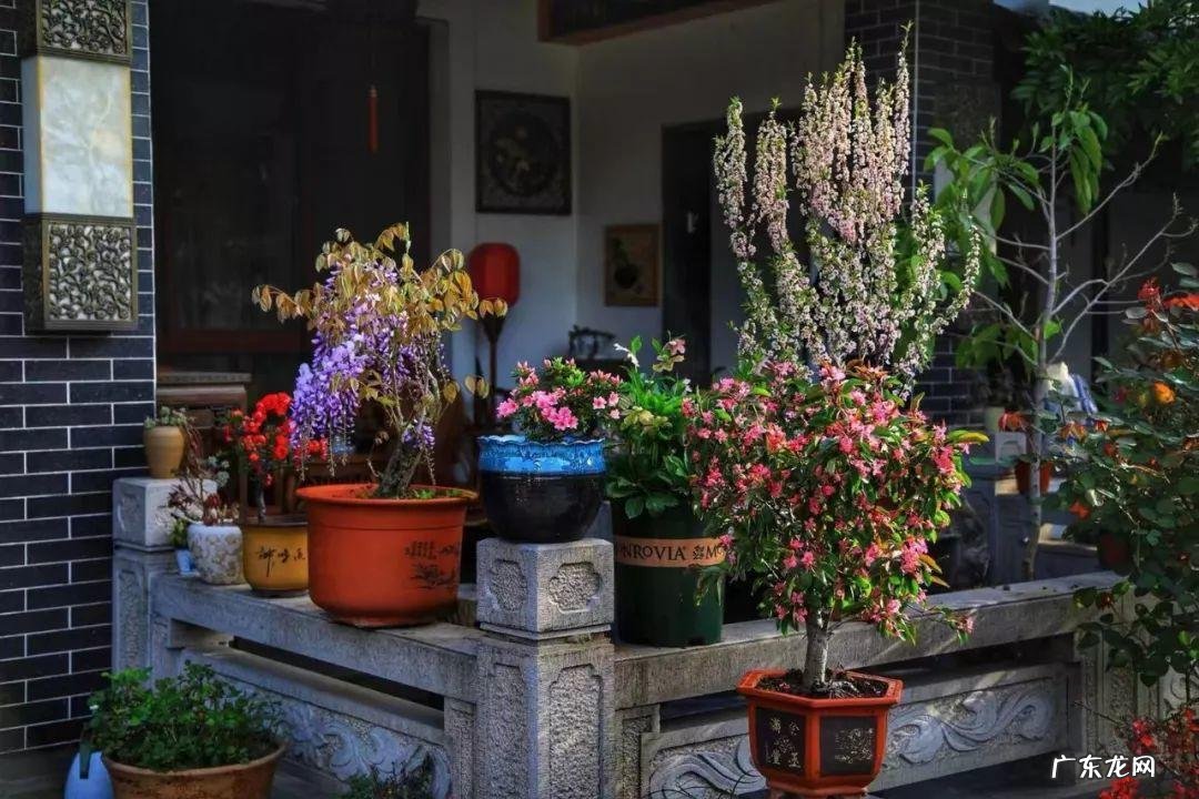 家飞进蛾子还下很多蛋风水