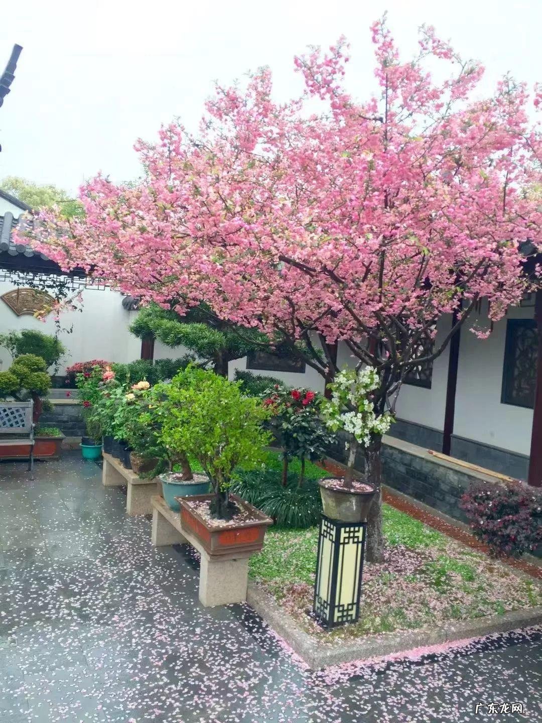 家飞进蛾子还下很多蛋风水