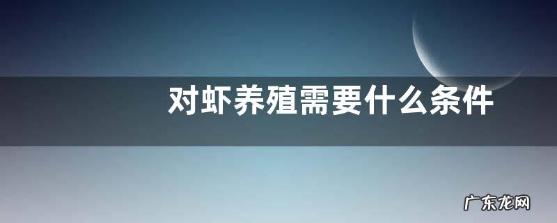 对虾养殖需要什么条件