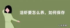 活虾要怎么养，如何保存活虾