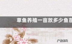 草鱼养殖一亩放多少鱼苗