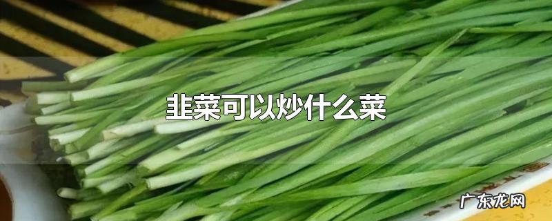 韭菜可以炒什么菜