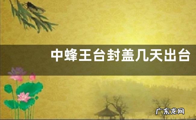 中蜂王台封盖几天出台