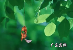 2022年处暑大概多少度