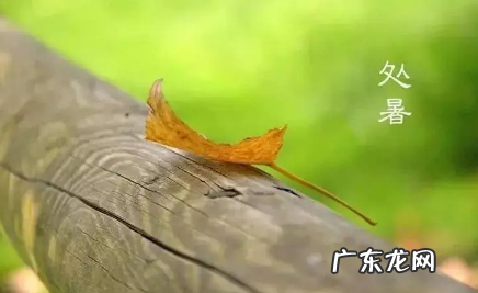 2022处暑这天下雨好还是不下雨好