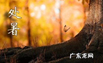 2022处暑这天下雨好还是不下雨好