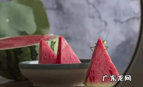 为什么三伏天排寒湿最好