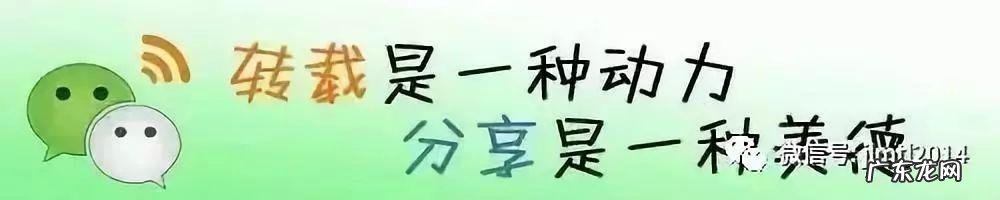 风水沙龙活动怎么写 风水中的风沙龙是什么意思啊