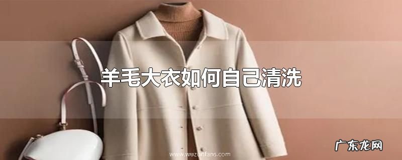 羊毛大衣如何自己清洗