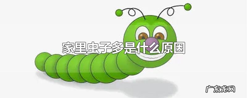 家里虫子多是什么原因