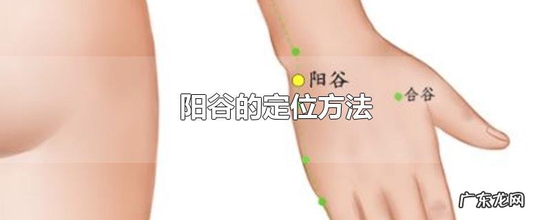 阳谷的定位方法