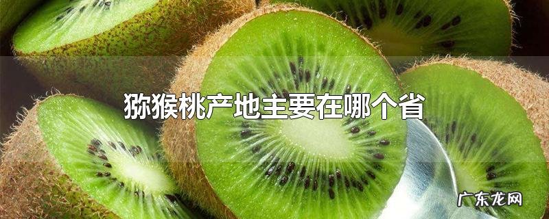 猕猴桃产地主要在哪个省