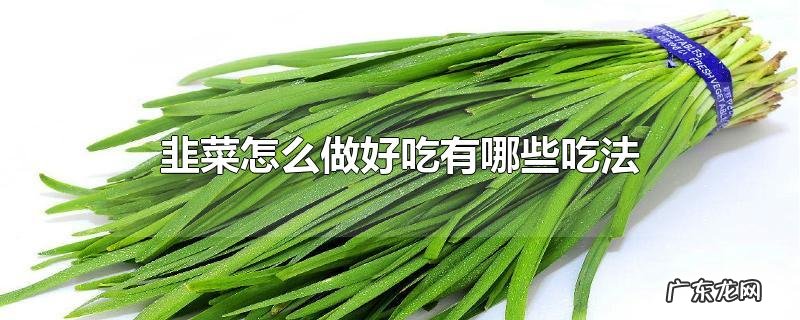 韭菜怎么做好吃有哪些吃法