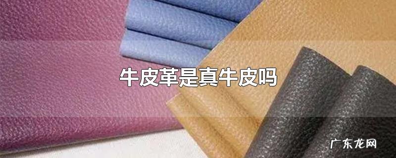 牛皮革是真牛皮吗