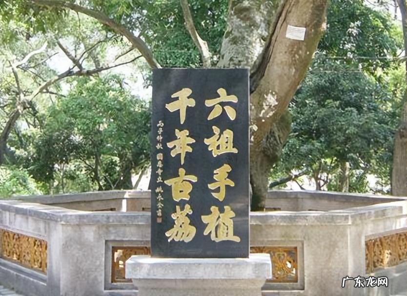 中国第一风水大师夏 风水大师夏