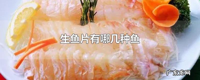 生鱼片有哪几种鱼