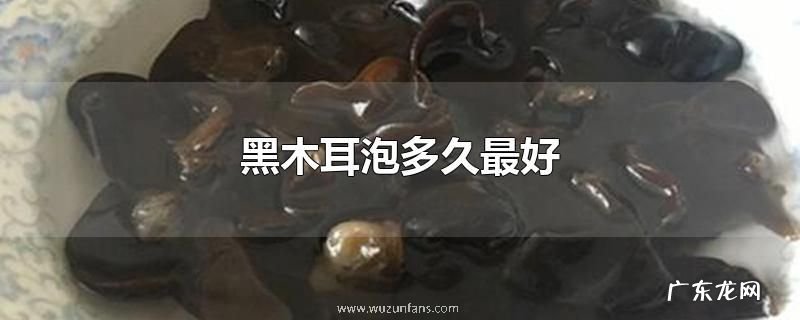 黑木耳泡多久最好