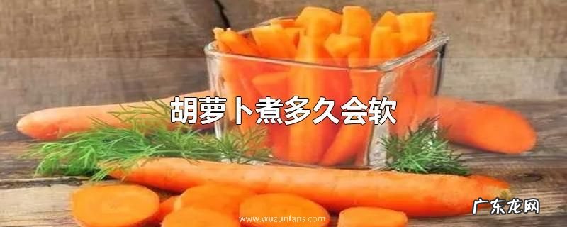胡萝卜煮多久会软