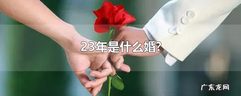 23年是什么婚?