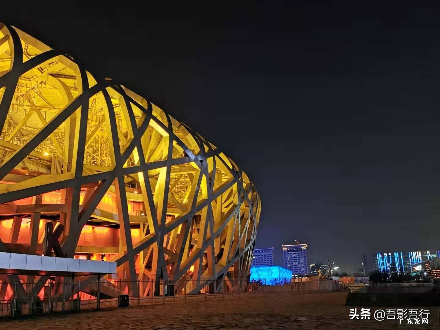 家西南方位有鸟窝风水好不好呢