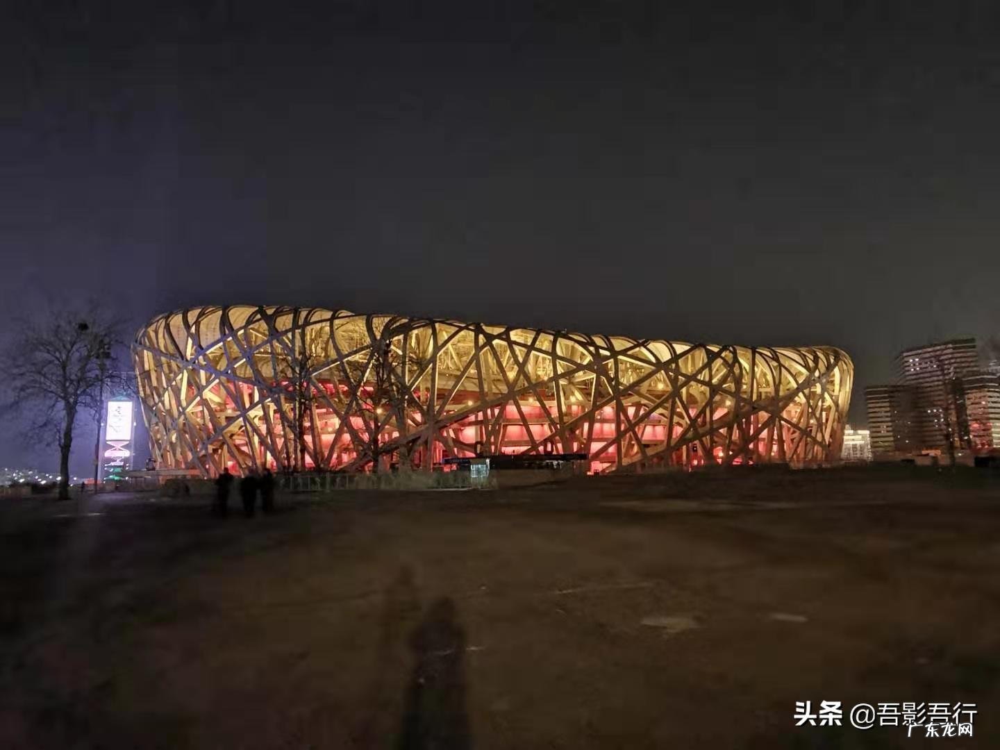 家西南方位有鸟窝风水好不好呢