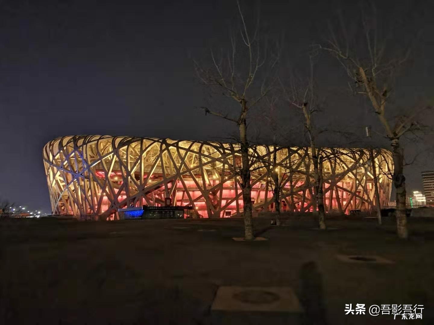 家西南方位有鸟窝风水好不好呢