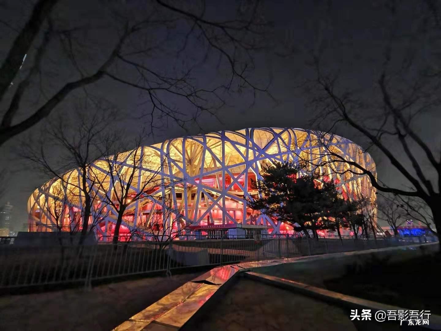 家西南方位有鸟窝风水好不好呢