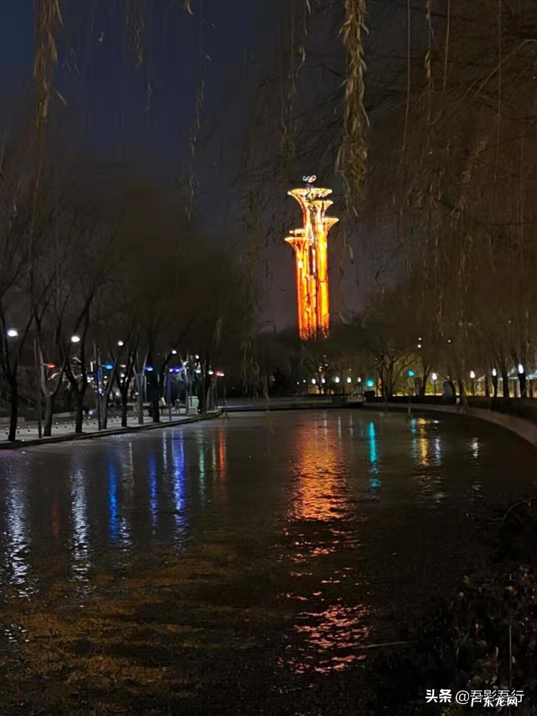 家西南方位有鸟窝风水好不好呢