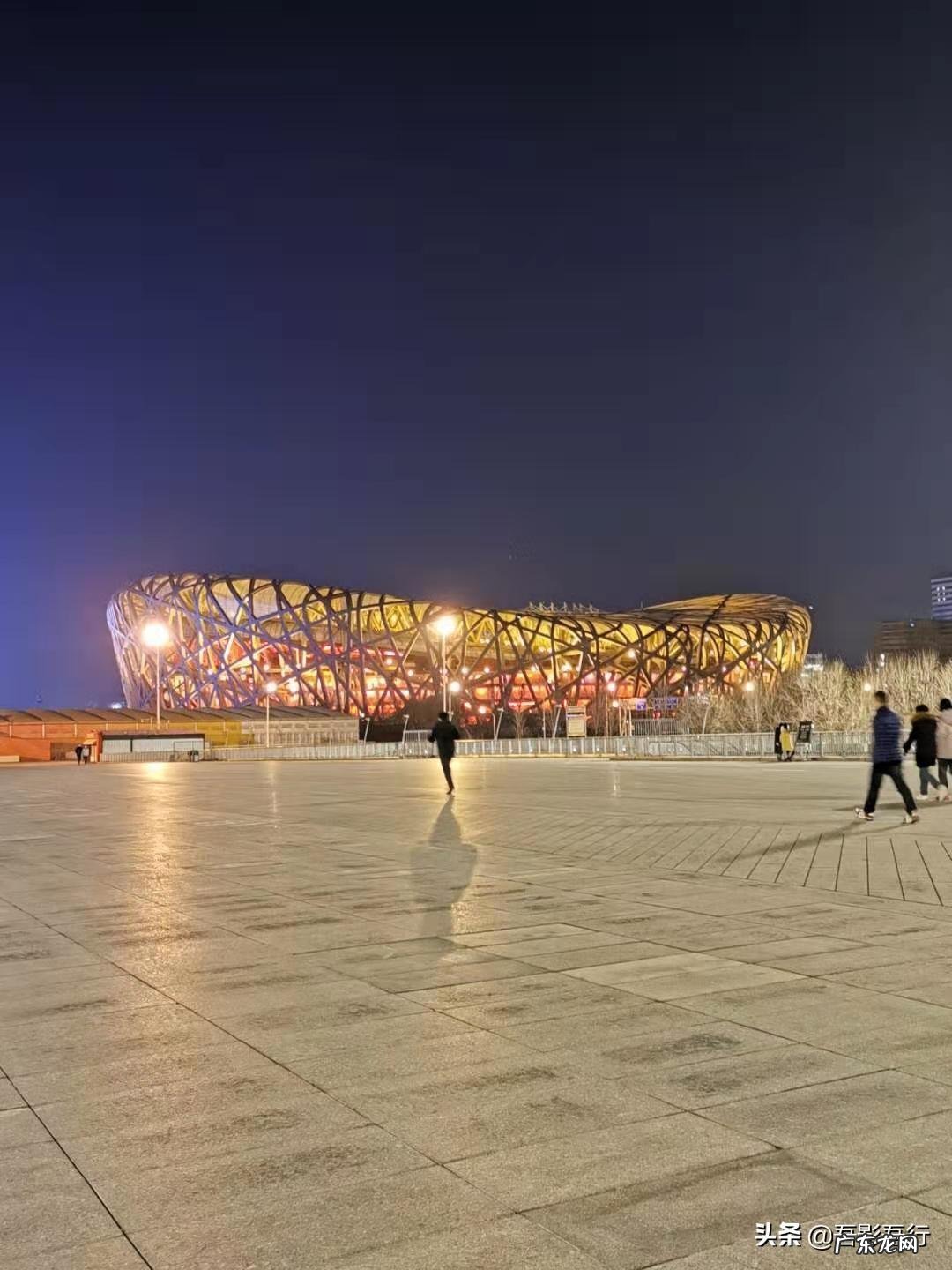 家西南方位有鸟窝风水好不好呢