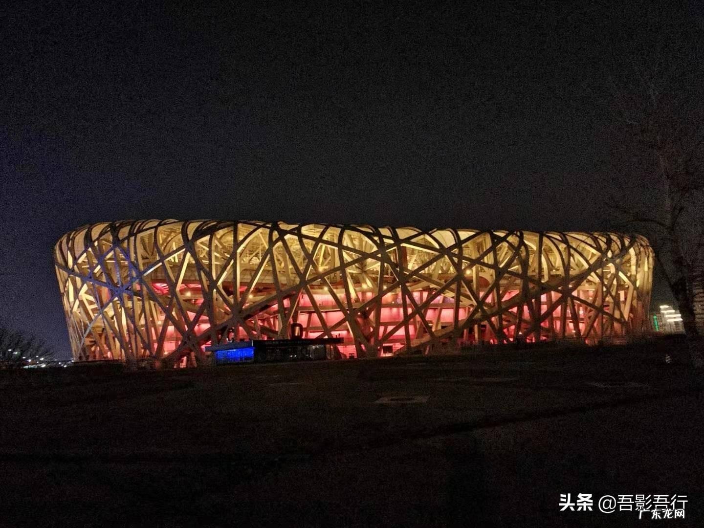 家西南方位有鸟窝风水好不好呢