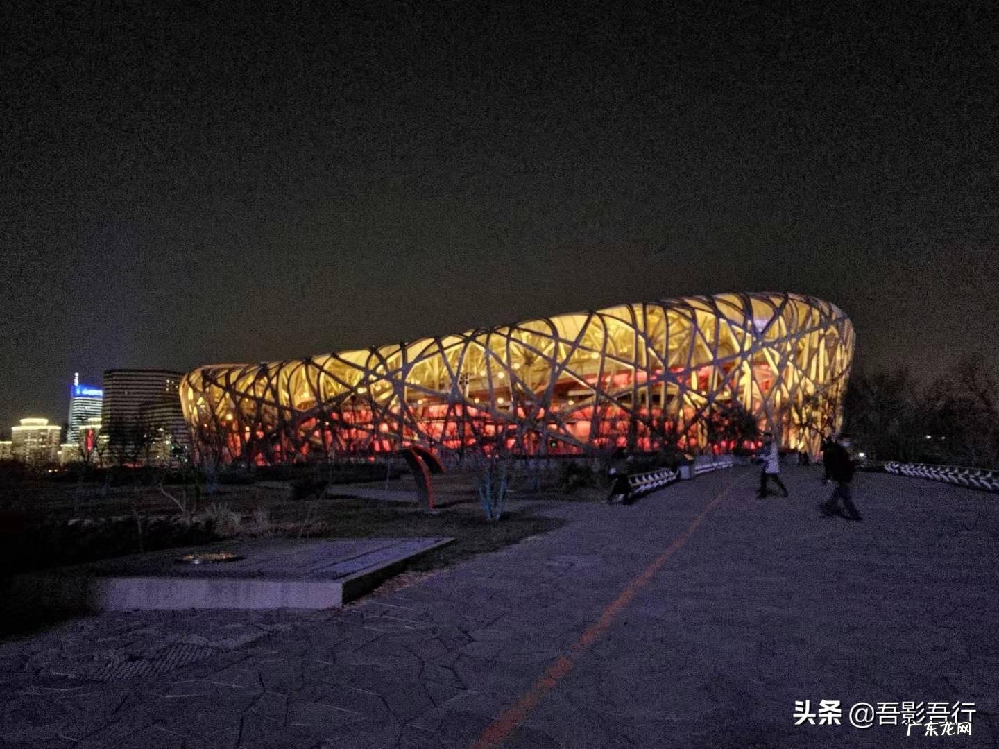 家西南方位有鸟窝风水好不好呢