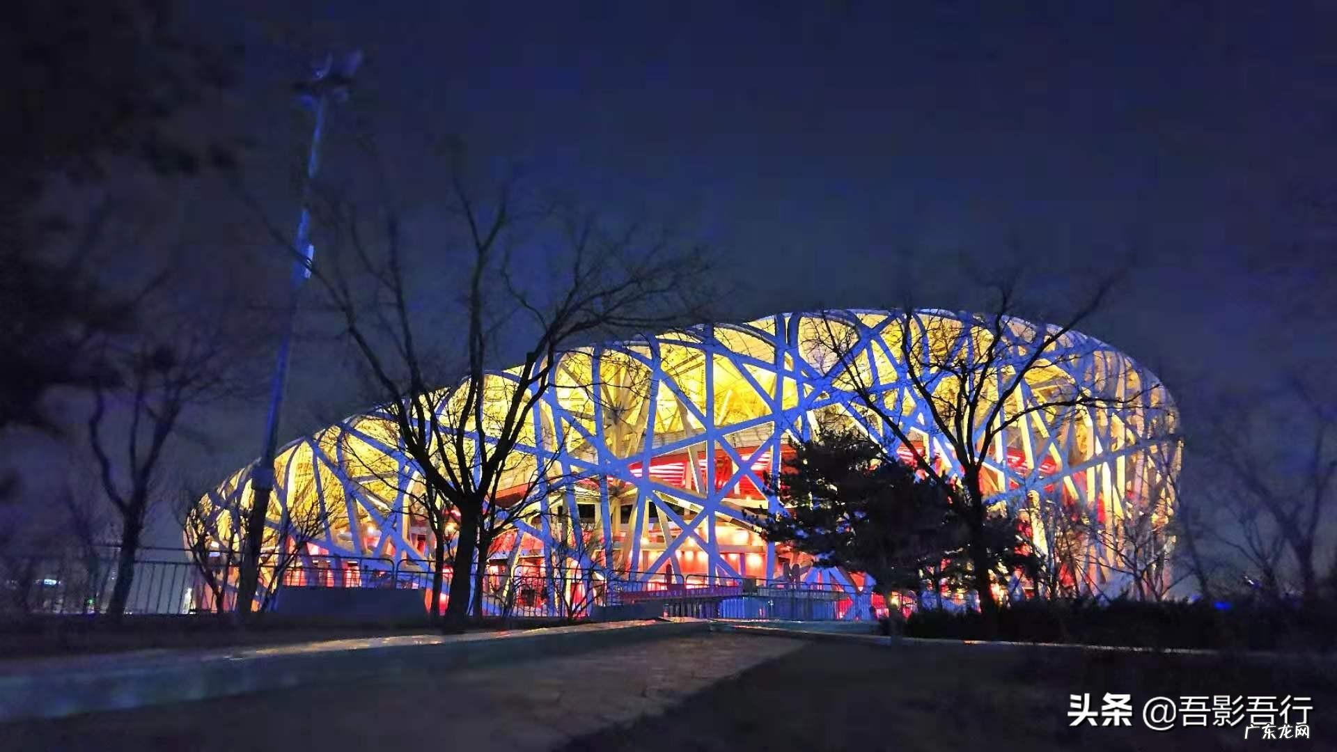 家西南方位有鸟窝风水好不好呢