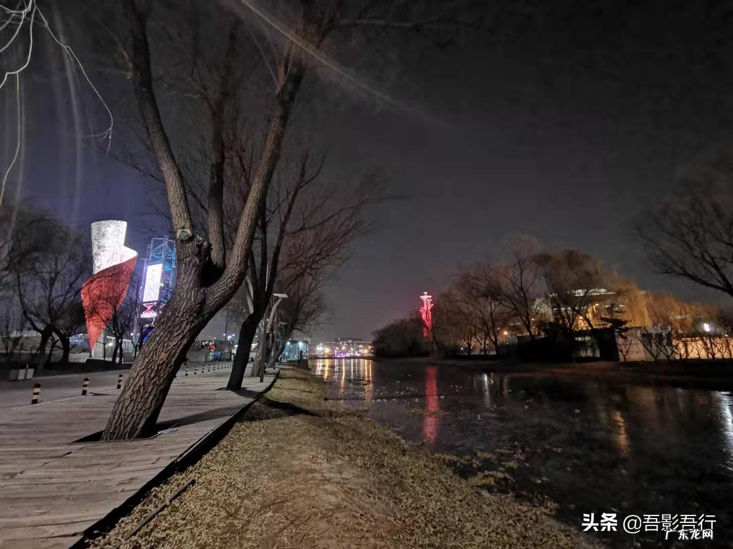 家西南方位有鸟窝风水好不好呢