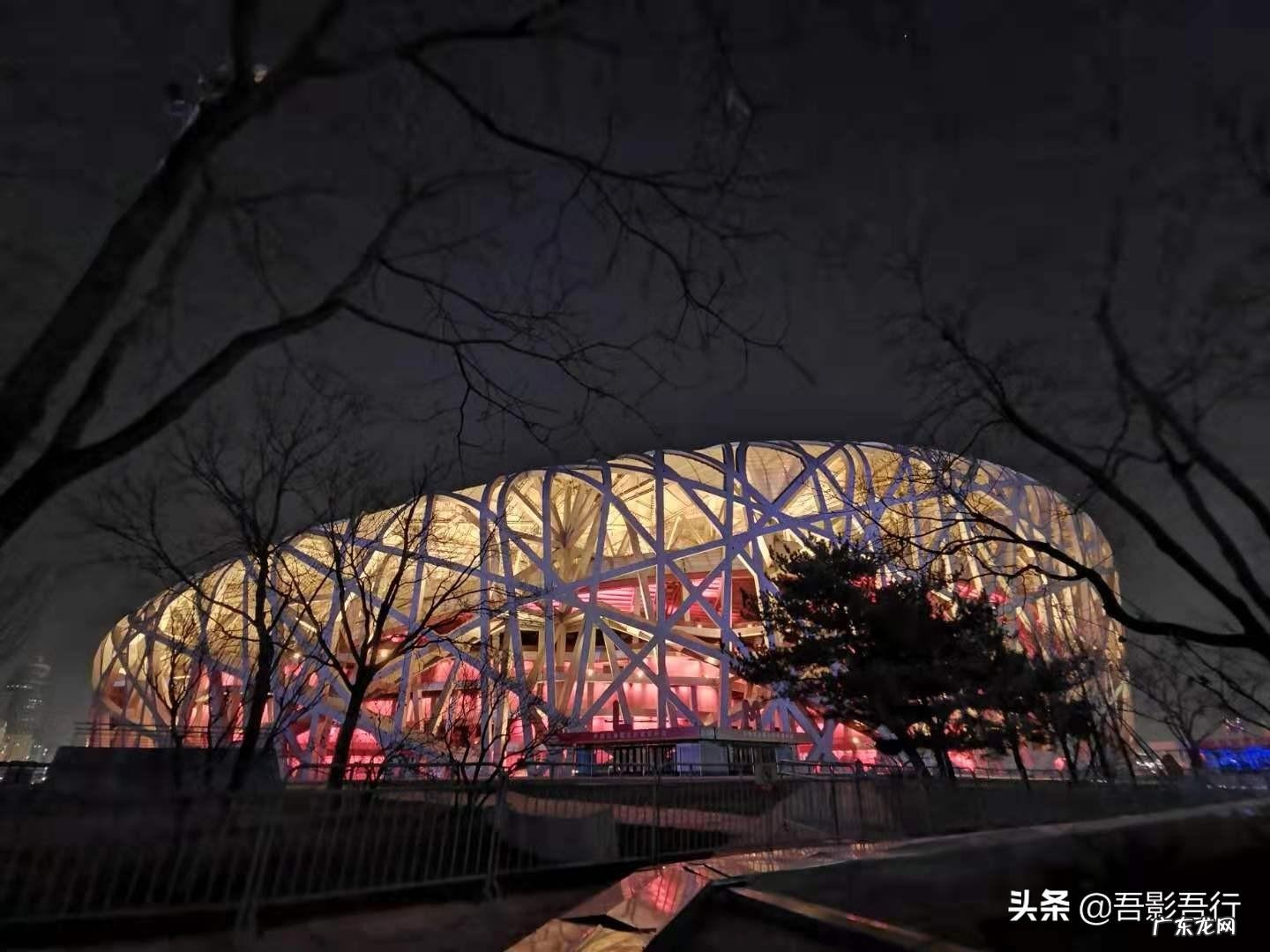 家西南方位有鸟窝风水好不好呢