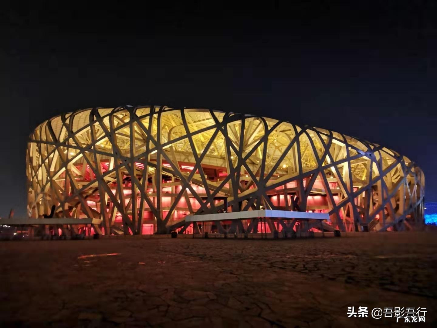 家西南方位有鸟窝风水好不好呢