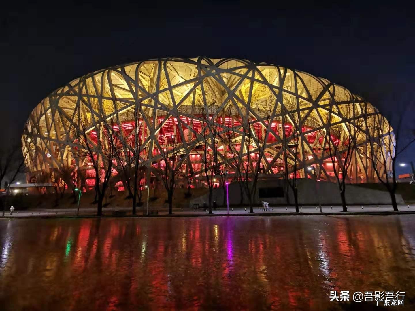 家西南方位有鸟窝风水好不好呢