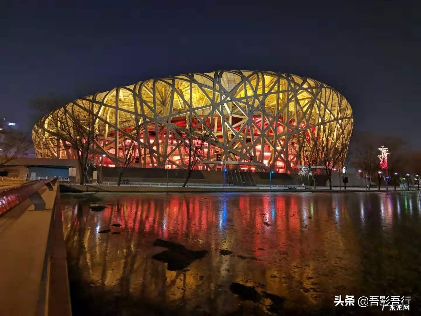 家西南方位有鸟窝风水好不好呢