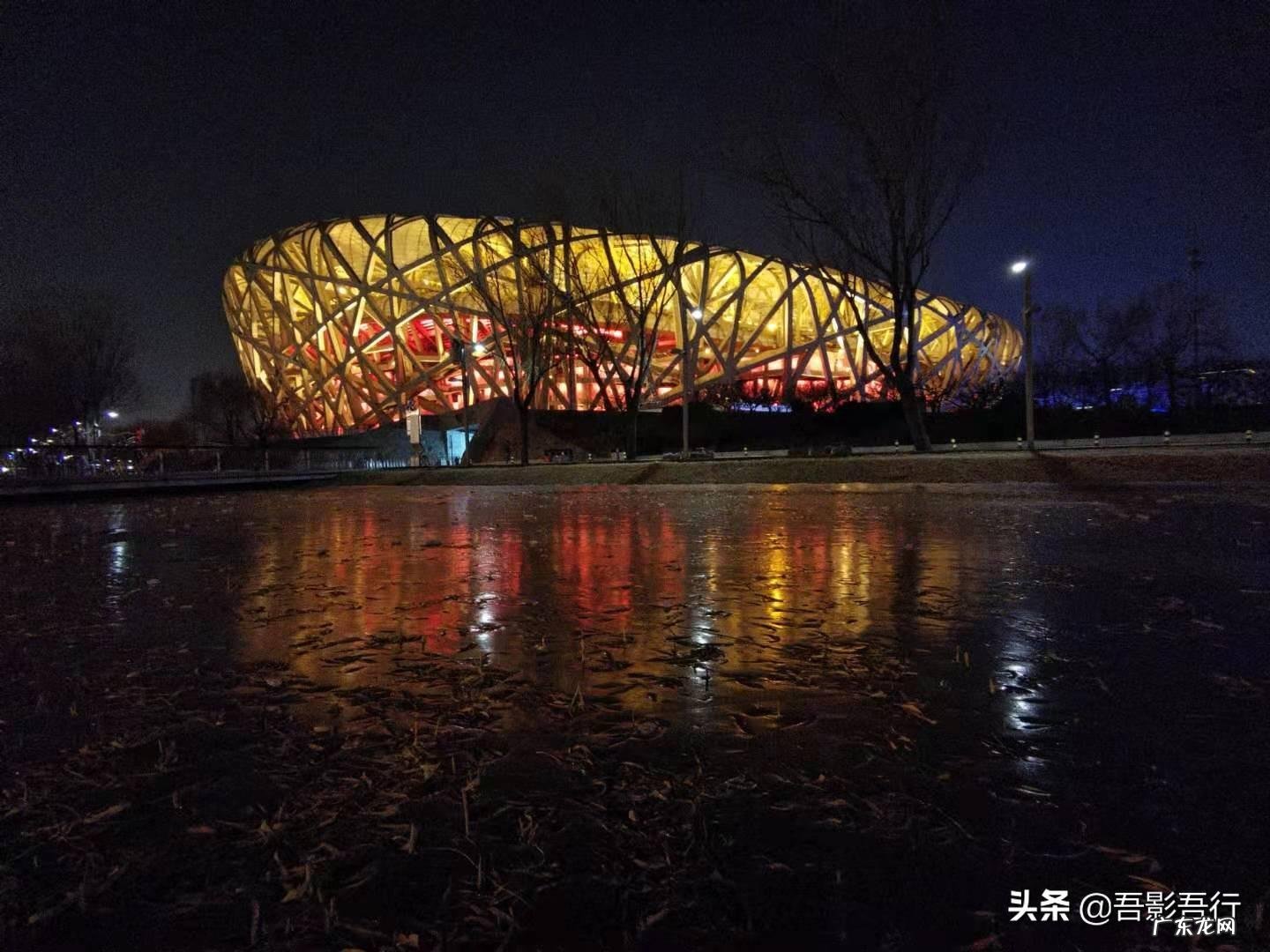 家西南方位有鸟窝风水好不好呢