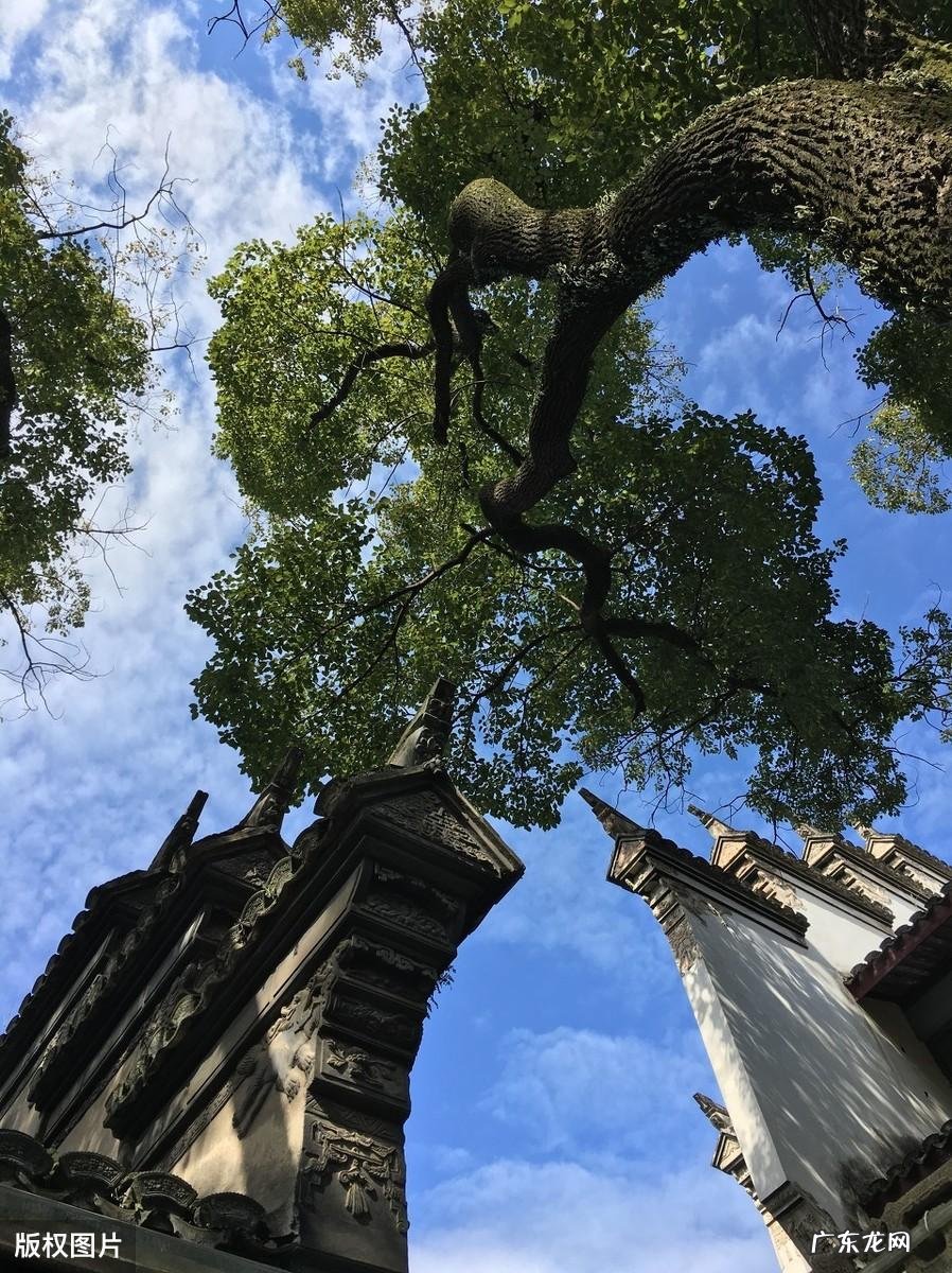 蒋母墓道的风水