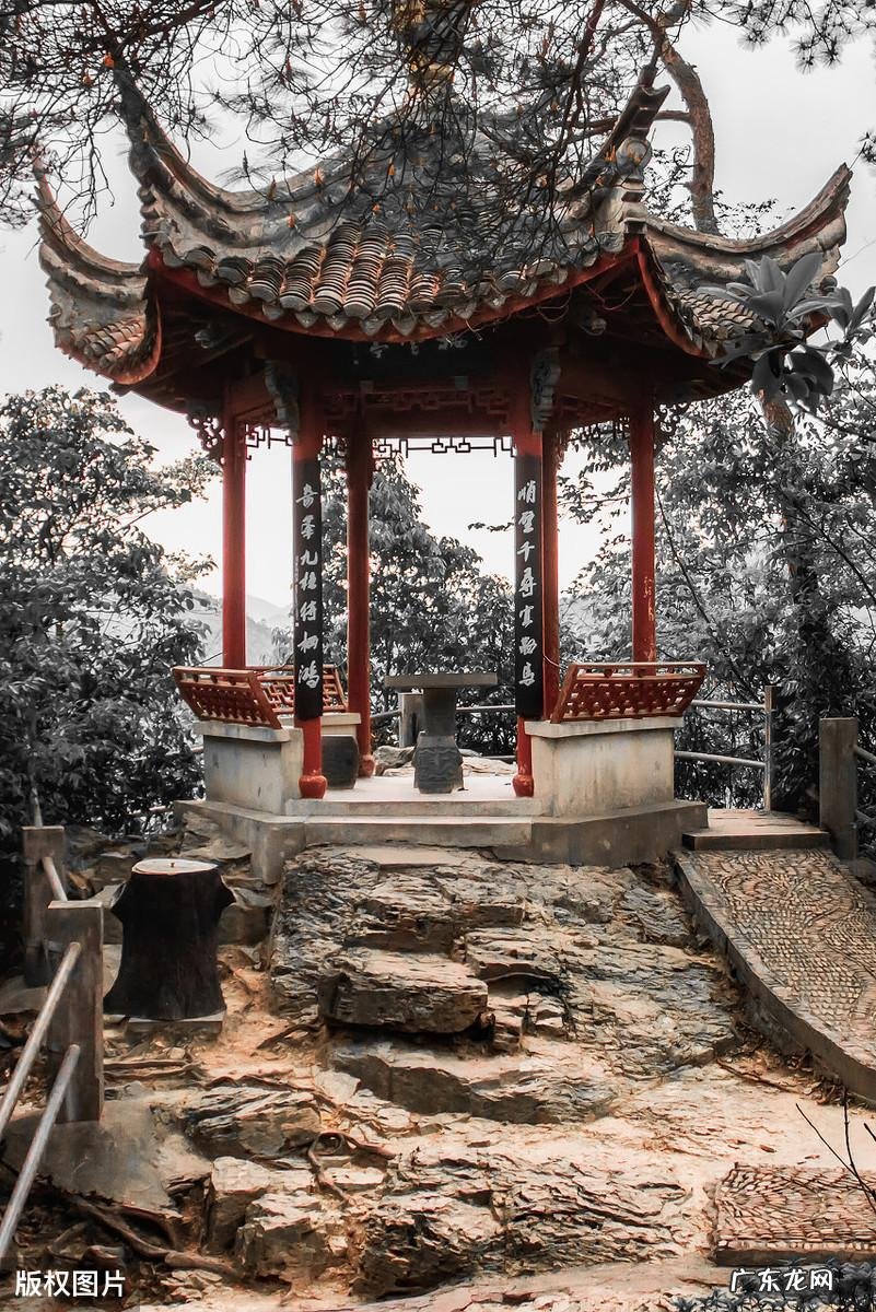 蒋母墓道的风水