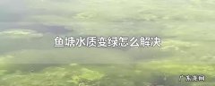鱼塘水质变绿怎么解决
